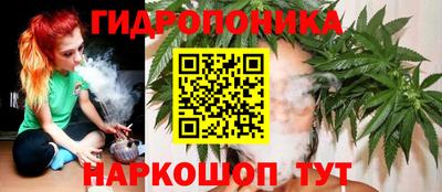 сатива Малгобек
