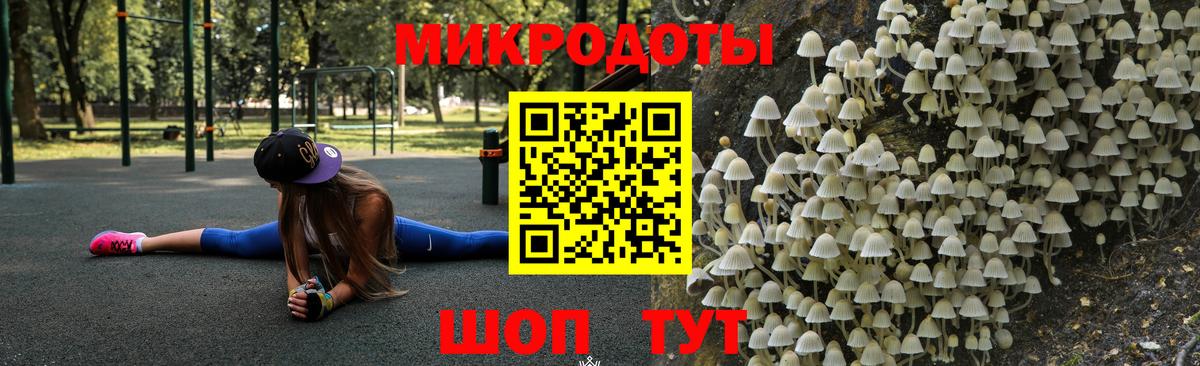 Псилоцибиновые грибы Cubensis Старая Русса
